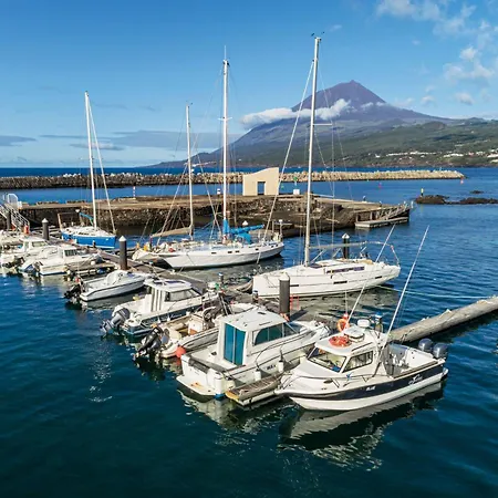 אכסניה Engenho *