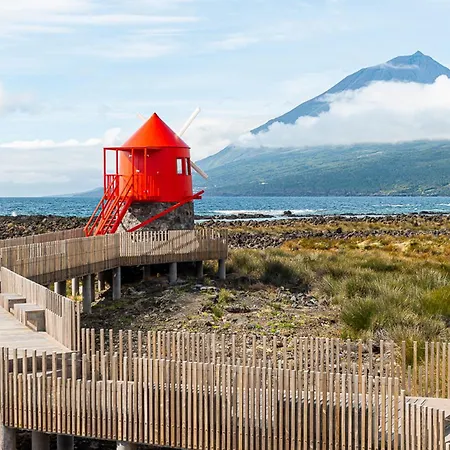 Engenho ホステル *