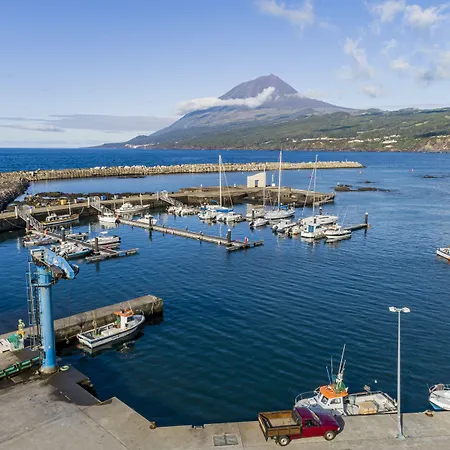 بيت شباب Engenho