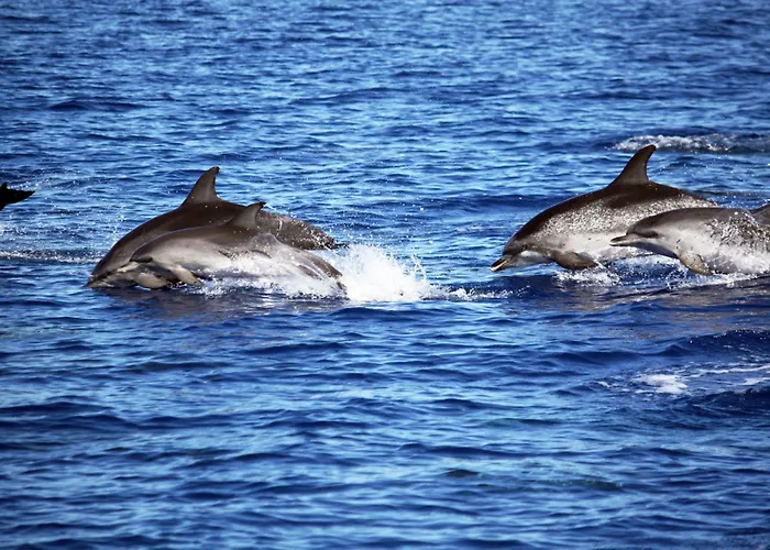 Auberge de jeunesse Engenho *